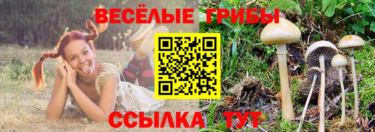 Набережные Челны  Галлюциногенные грибы мицелий  Вход с VPN 
